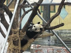 -无锡动物园·太湖欢乐园