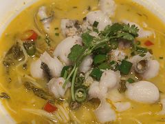 -雍哲港式餐厅(现代广场店)