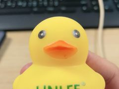 -LINLEE林里·手打柠檬茶(龙岗深铁汇里店)