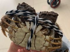 -喜洋洋蟹庄(阳澄湖店)
