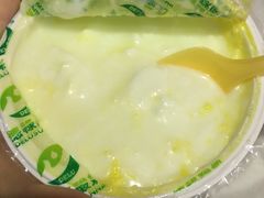 -德禄酸奶(莫家街店)