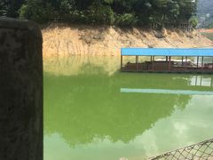 -广州市流溪河国家森林公园