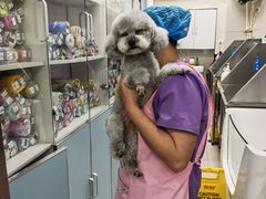 -北京观赏动物医院·24小时大型综合·猫专科·异宠专科