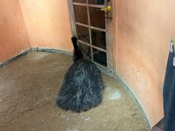 -Zoolung Zoolung动物主题公园(海信广场店)