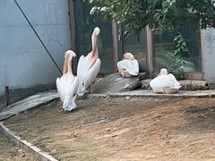 -齐齐哈尔龙沙动植物园