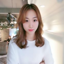 点击看大图 -金棕榈