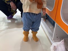 -三花喵·撸猫购宠·宠物生活馆(虹桥南丰城店)