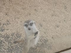 -海合安武汉极地海洋公园