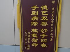 -中农国际动物医院24小时·猫科·骨科·急重症中心