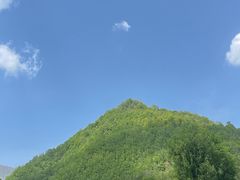 -牛背梁国家森林公园