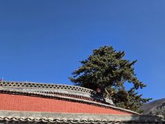 -五台山风景名胜区-罗睺寺