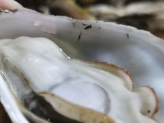 -阿钦大排档