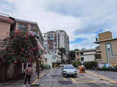 -梧桐山风景名胜区