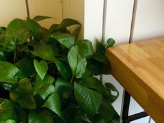 -greenjoy绿享轻食(宁海路店)
