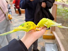 -南宫五洲植物乐园