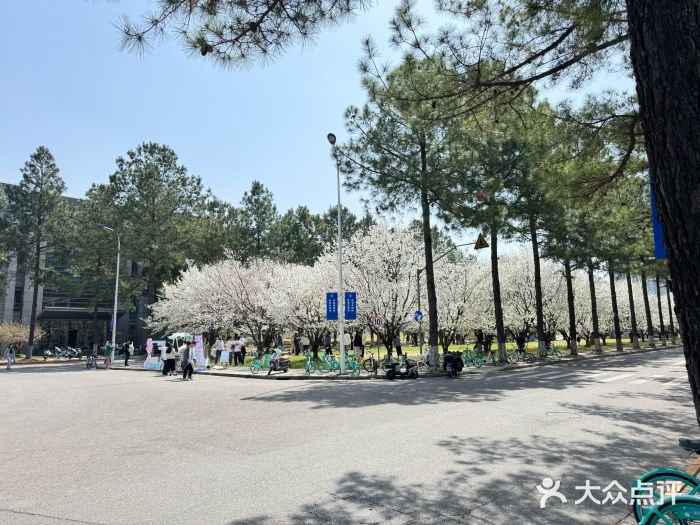 同济大学(嘉定校区)图片