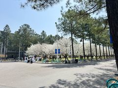 -同济大学(嘉定校区)
