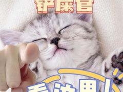 -暖阳宠物医院·犬猫康复中心·骨科