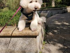 -宠颐生宠物医院·心肾内科·猫专科诊疗中心宠巢店