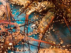 -海九澎湖海鲜餐厅