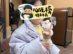 -IL paperino帕帕里诺冰激凌