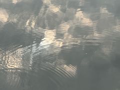 -成都市活水公园