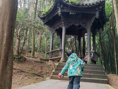 -凤栖山