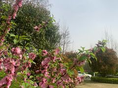 -云龙湖旅游景区