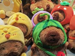 -酷乐潮玩(五道口购物中心店)