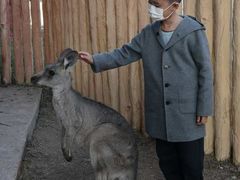 -鄂尔多斯野生动物园