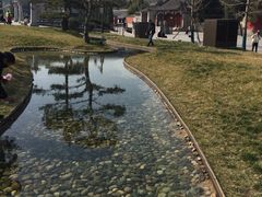 -大雁塔北广场音乐喷泉