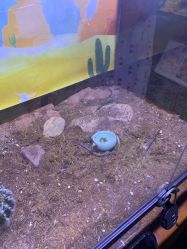 -酷嗒动物文化乐园(cutezoo西溪乐天城店)