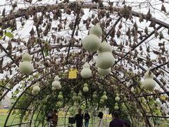 -中国天府农业博览园