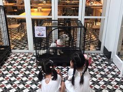 -阿那亚第一食堂 Cafeteria 1