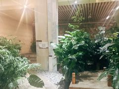 -白桦林温泉谷