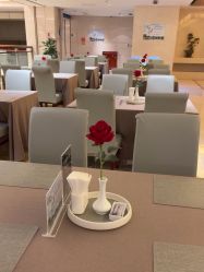 -天泰一站式婚宴·宴会厅