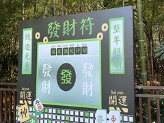 -天目湖涵田半山温泉