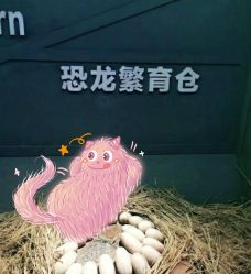 -恐龙探索乐园(磁器口店)