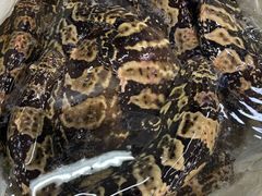 -天津金元宝滨海农产品交易市场(共发大道)