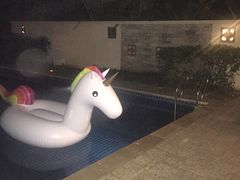 -三亚亚龙湾雅高铂尔曼别墅度假酒店