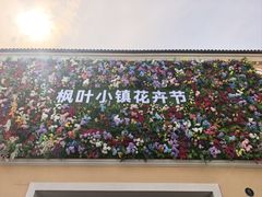 -枫叶小镇奥特莱斯