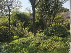 -郑州银基黄帝宫御温泉