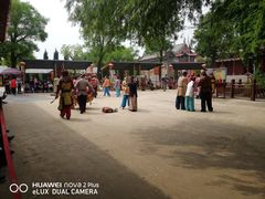 -大槐树寻根祭祖园