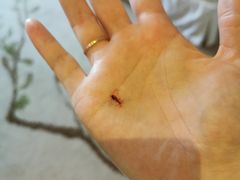 -广交会威斯汀酒店