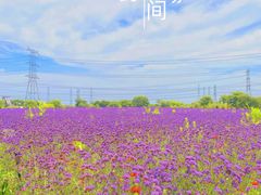 -上海杨姆庄园