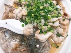 蒸鲈鱼-粤·向群饭店(龙津东路总店)