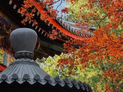 -香山公园