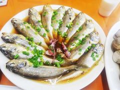 清蒸黄鱼-海味饭店(金海岸广场店)