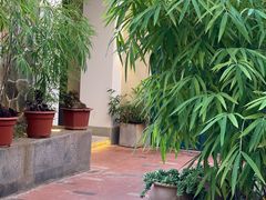 -山壹竹庭院餐厅