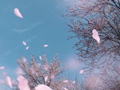 -素清香(解放路店)